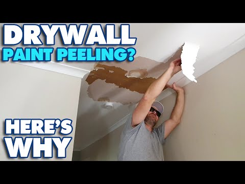How To Repair Cracked And Peeling Paint In A Bathroom?