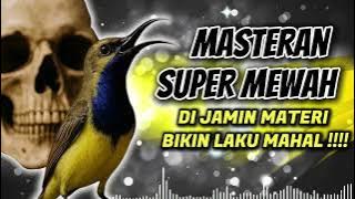 MASTERAN SOGON‼️ SUPER MEWAH DIJAMIN LAKU MAHAL #sogon #sogongacor #sogokontong