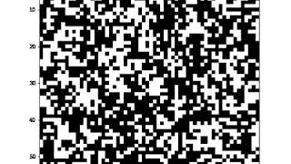 Ising model Simulation