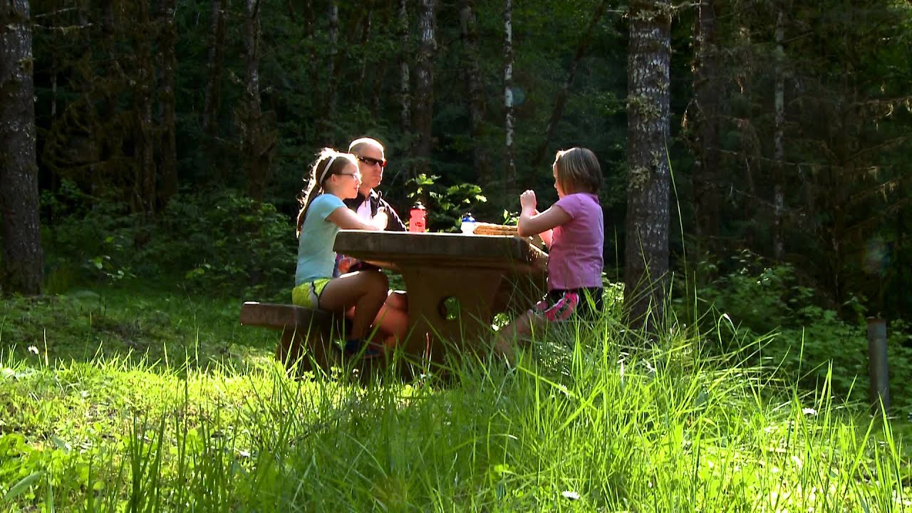 My Favorite Places: Alsea Falls, near Alsea & Corvallis, Oregon