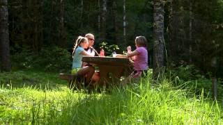 My Favorite Places: Alsea Falls, near Alsea & Corvallis, Oregon