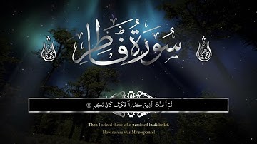 شريف مصطفى || تلاوة من سورة فاطر تنقلك الى عالم اخر من الخشوع والسكينة 🌹🤍