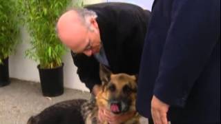 Curb Your Enthusiasm - Oscar
