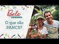 Plantas Alimentícias Não Convencionais - PANCS | Bela Gil entrevista Valdely Kinupp