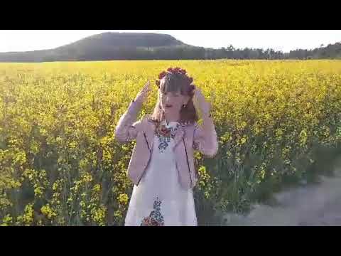 Комаревич Софія Сонячний віночок 