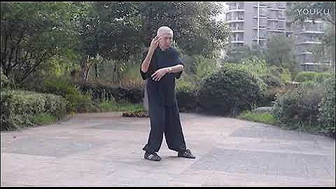 Wu style Tai Chi (Mr. Wu Hongding)