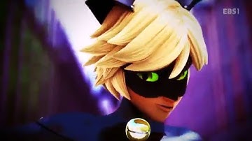 「VƧP」Better Than You | Chat Noir MEP Part 13 [REDOING PART]