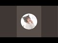 夏絵ココOfficial がライブ配信中!