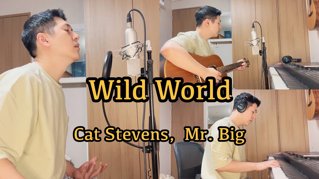 wild world by mr big