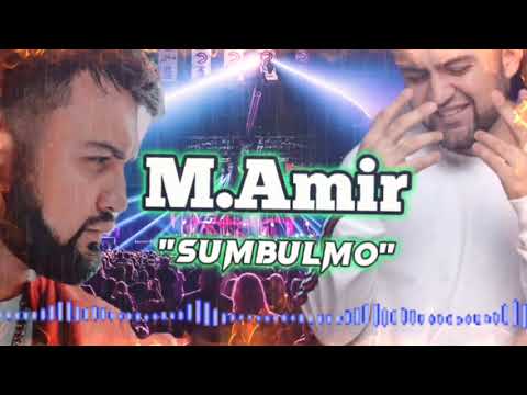 Amir Sisi - Ayah Ibu ( Official Lyric Video )