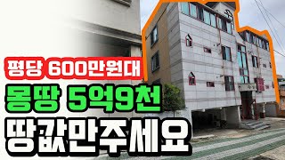 [대구원룸매매]★땅값으로정리,몽땅5억9천★평당687만원,년수익율12%, 경매넘어가기전에 정리합니다
