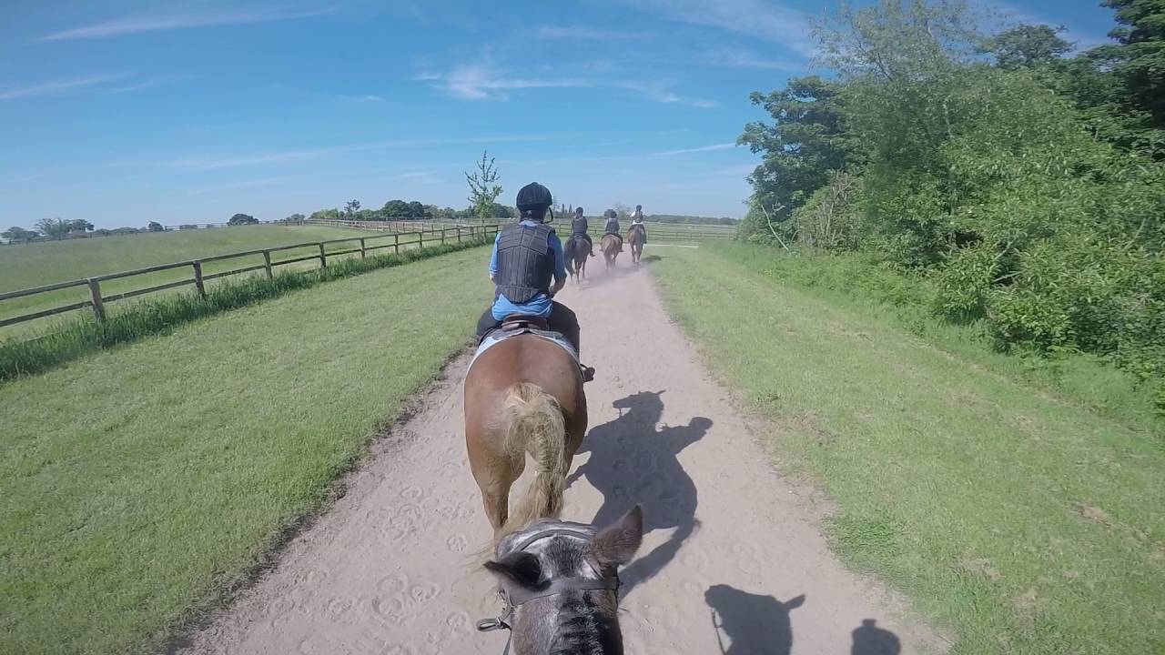 Somerford Farm Ride PART 3 YouTube