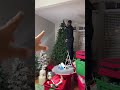 Oh the joys of Christmas🤣🎄✨ Is anyone else here very particular about the tree fluffing like me?