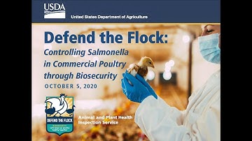 Controlling Salmonella in Commercial Poultry through Biosecurity