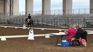 Passionate Victor & K. Natwick Training Level Test 2 (64.65%)