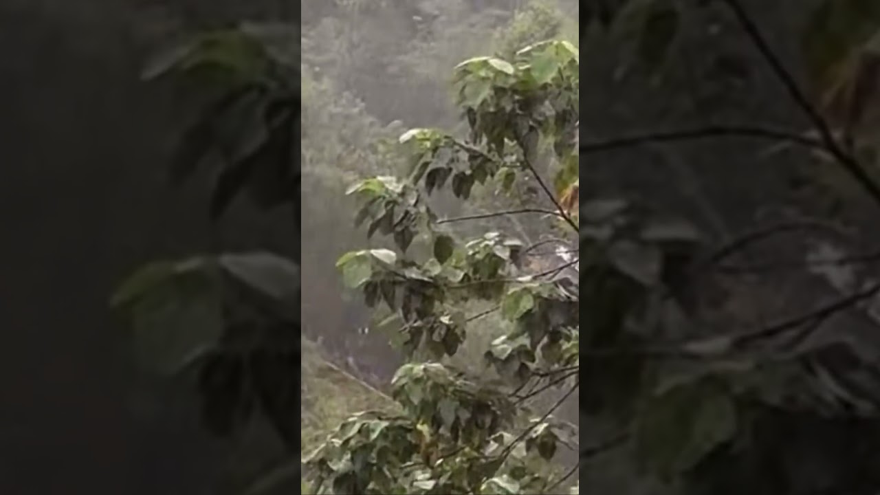 Nước lũ dâng cao ở Đà Nẵng