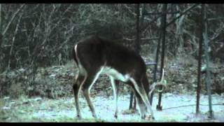 Cough silencer at work.wmv