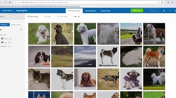 3 minutes video on Custom Vision AI