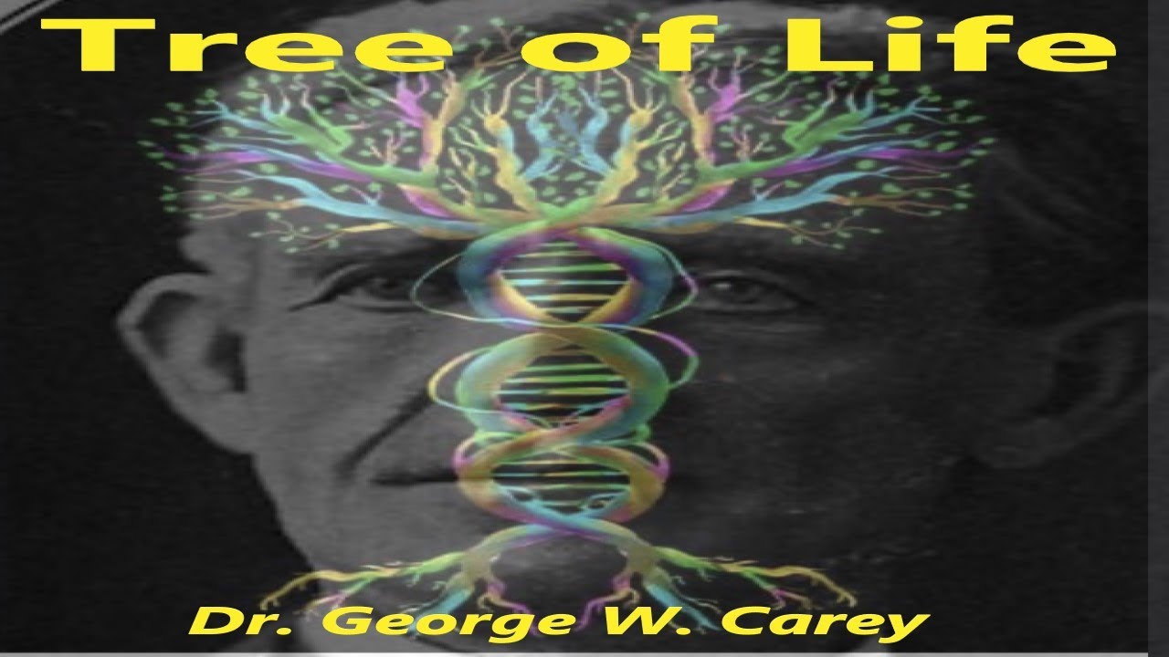 🌳🧠 Tree of Life Dr. George W. Carey Optic Thalamus - All seeing EYE Illustrated audiobook 