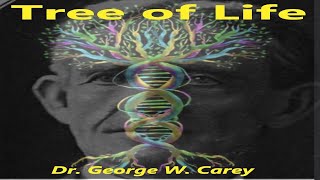 🌳🧠 Tree of Life Dr. George W. Carey Optic Thalamus - All seeing EYE Illustrated audiobook #Gnosis