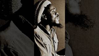 #Jamaica🇯🇲 #reggaemusic #DennisBrown #CrownPrince #reggae🇯🇲