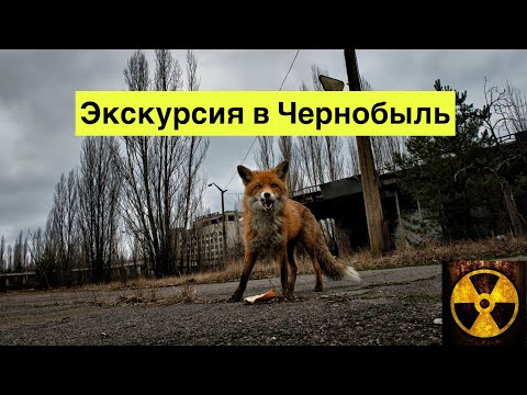 Экскурсия в Чернобыль. Зона отчуждения. Город-призрак Припять.