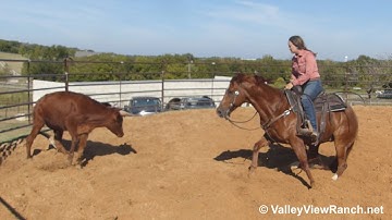 Nothing Else Matterz - working cows and roping! - ValleyViewRanch.net