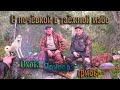 С ночёвкой в таёжной избе. Охота с лайкой 2020, природа в Республике Коми, собираем последние грибы.