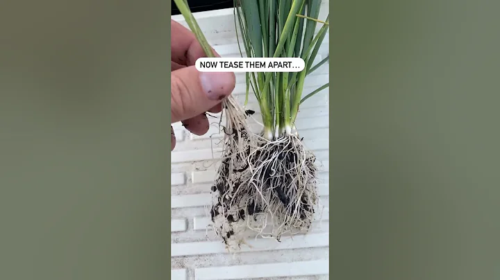 Nursery Hack to Save a Ton of $