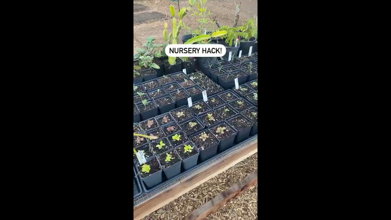 Nursery Hack To Save A Ton Of 