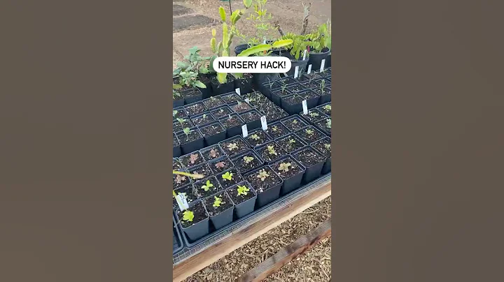 Nursery Hack to Save a Ton of $ - DayDayNews