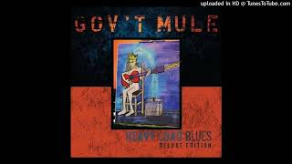 Video thumbnail of "Gov't Mule - Have Mercy On The Criminal (Studio)"