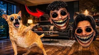 THESE AREN’T MY OWNERS…