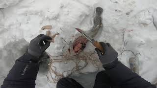 Рыбалка#Налим#Я в шоке !!! Рыбалка#Налим#Я в шоке !!!