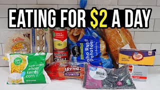 Eating for $2 a Day: Cheap and Healthy Meal Ideas You Need to Try by Frugal Fit Mom 454,574 views 3 months ago 19 minutes