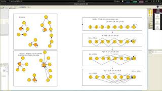 [INFO335] Ayudantia 02 - Pointer jumping y Random Walk