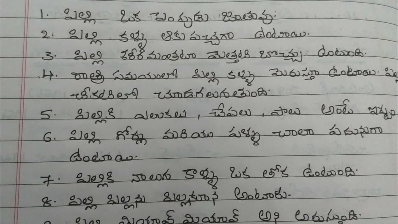 10 lines on cat in telugusmall essay on cat for kids YouTube