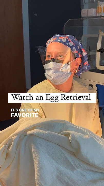 POV #eggretrieval #ivf