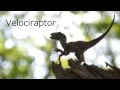 【dinosaur】　Velociraptor　ベロキラプトル　【恐竜】