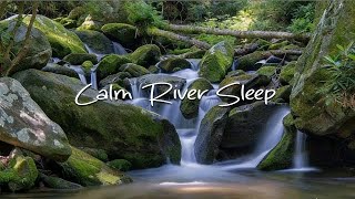 Whispering River | Gentle Forest River Ambience (1,5 Hours)