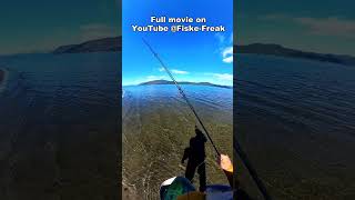 A Beautiful Little Sea Trout In Good Condition