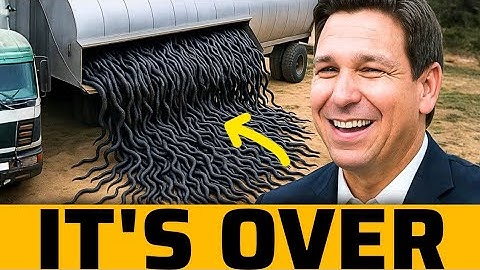 They Mocked Florida for Its Bold Plan Against Invasive Snakes — Then Nature Struck Back!