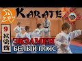 Экзамен по каратэ на белый пояс (9 кю). Karate exam on 9 kyu