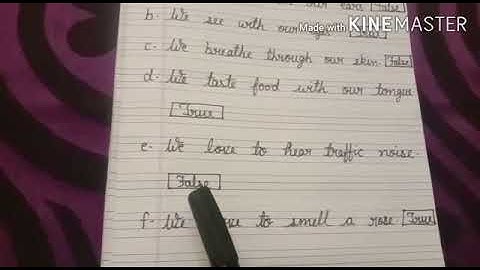 MLZS JHANSI CLASS 1 EVS Chapter 2 My Body Lecture 5