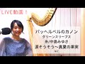 YouTube Live!!19:00の部ハープコンサートbyやまばたまい※所々音割れ有り。イヤホンで聴く際はお気をつけください、演奏は7:00頃から。ノーカットです！