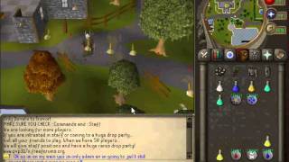 PVP 317 X skills an awesome 24/7 runescape private server or rsps for short