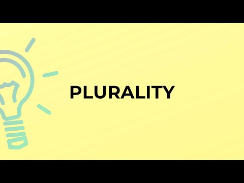 What is the meaning of the word PLURALITY?