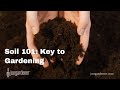 Soil 101: How to Create Healthy Soil