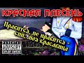 КРАСНАЯ ПЛЕСЕНЬ - НРАВИТСЯ, НЕ НРАВИТСЯ - СПИ МОЯ КРАСАВИЦА. ВЕРСИЯ 2022 ГОДА.