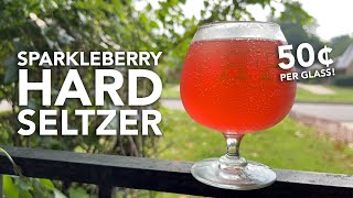 World's CHEAPEST hard seltzer recipe: Sparkleberry